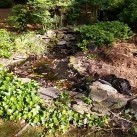 A garden pond with mossy rocks, dark water, and surrounding greenery, viewed from above.