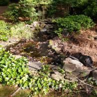 A small garden pond with a stone waterfall feature, surrounded by lush green foliage and scattered dry leaves.