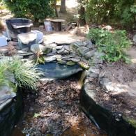 A partially constructed backyard pond with a stone waterfall, black plastic liner, and surrounding garden plants.
