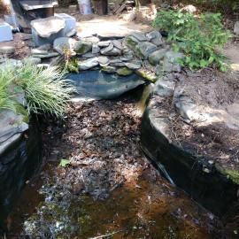 A small garden pond filled with dead leaves and sediment, featuring stone bordering and surrounding landscaping greenery.