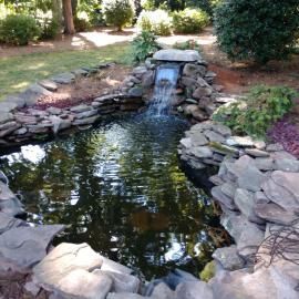 A small backyard pond with a stone-lined waterfall, surrounded by green landscaping and trees in a sunny garden.