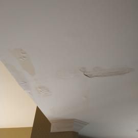 Water damage stains and peeling paint on a white ceiling near the corner of a wall.