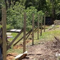 A row of vertical wooden fence posts installed in a grassy outdoor area, with diagonal support beams attached to them.