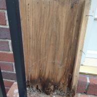 A vertically oriented wooden board with extensive rot and wood-boring insect damage at the base, resting on brick.