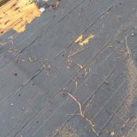 A close-up view of black roofing felt paper covering wooden decking with some debris and damaged sections.