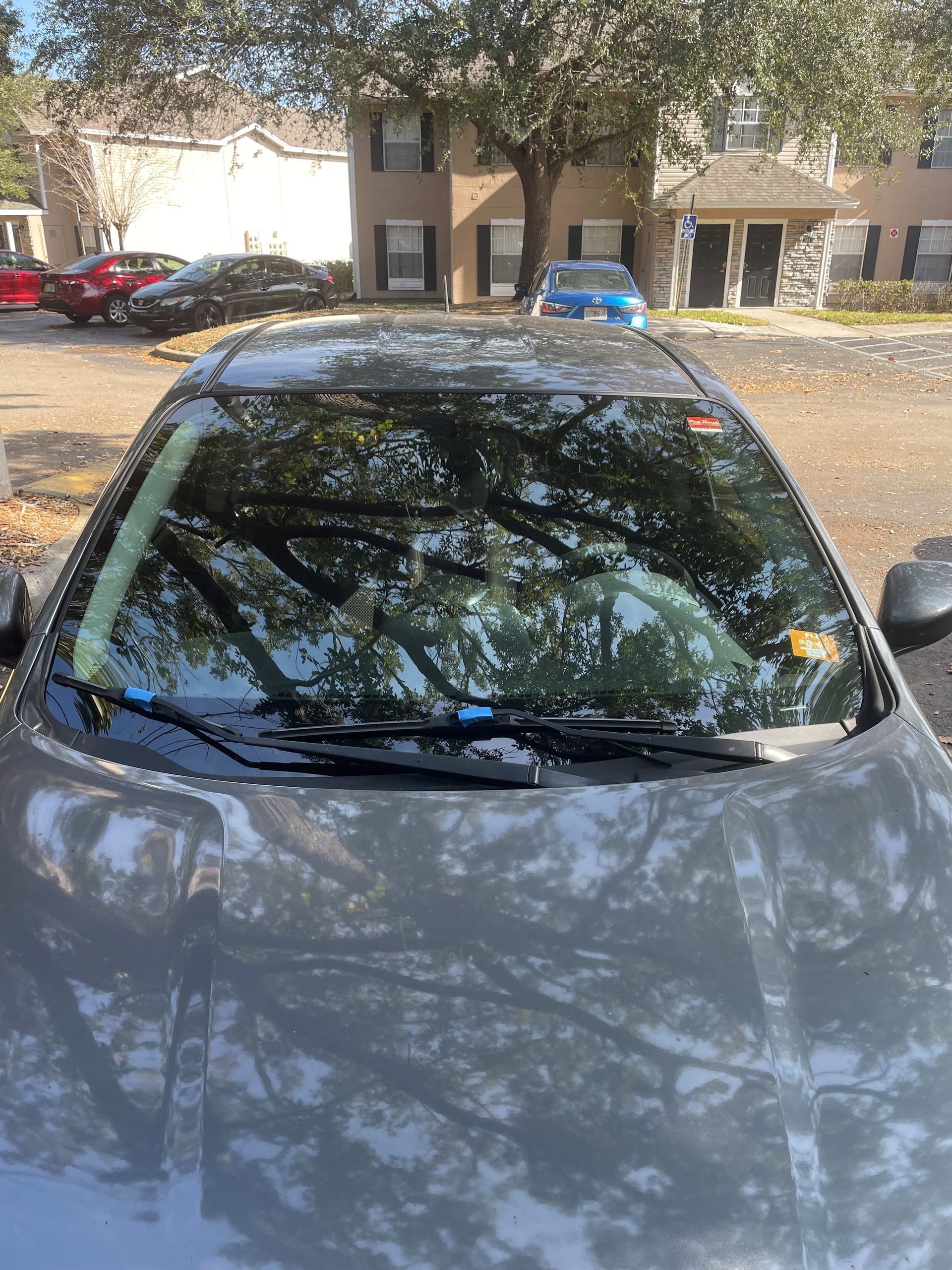 Windshield replacement— Dr. Phillips, FL — Stat Auto Glass