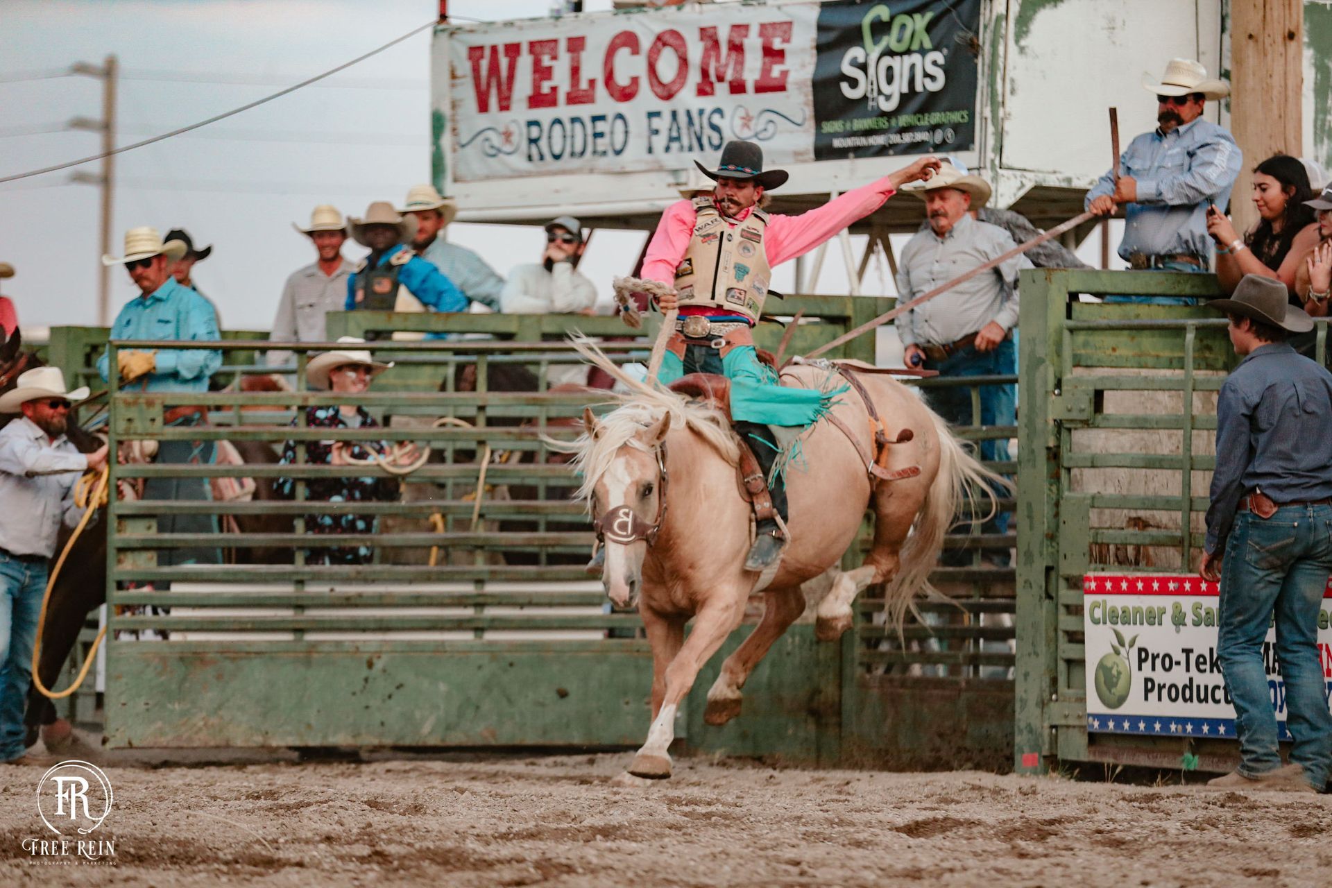 Man in a blue jacket holding a cow at fair