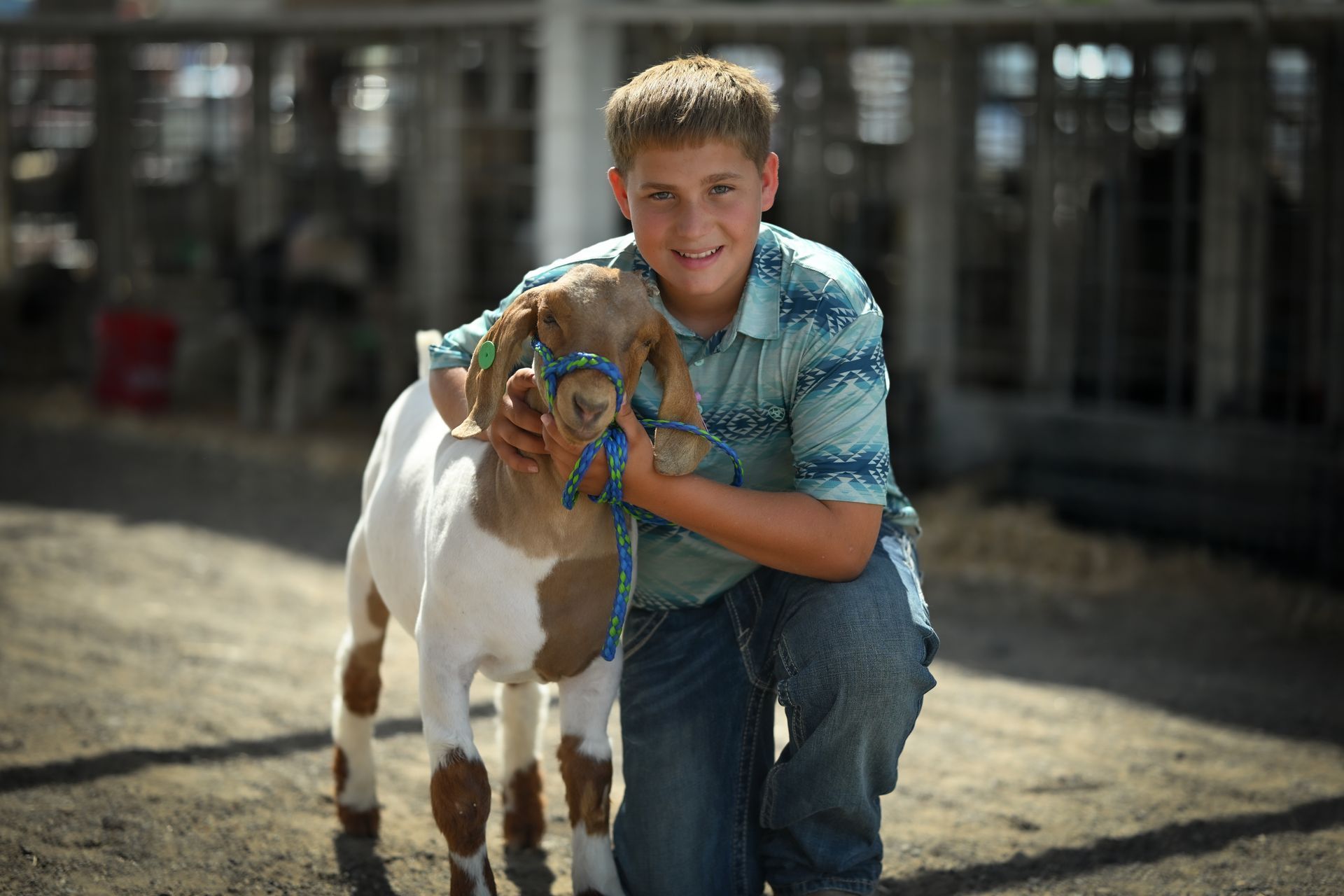 Boy smiles, kneeling and holding a goat with a blue and brown halter, in a barn.