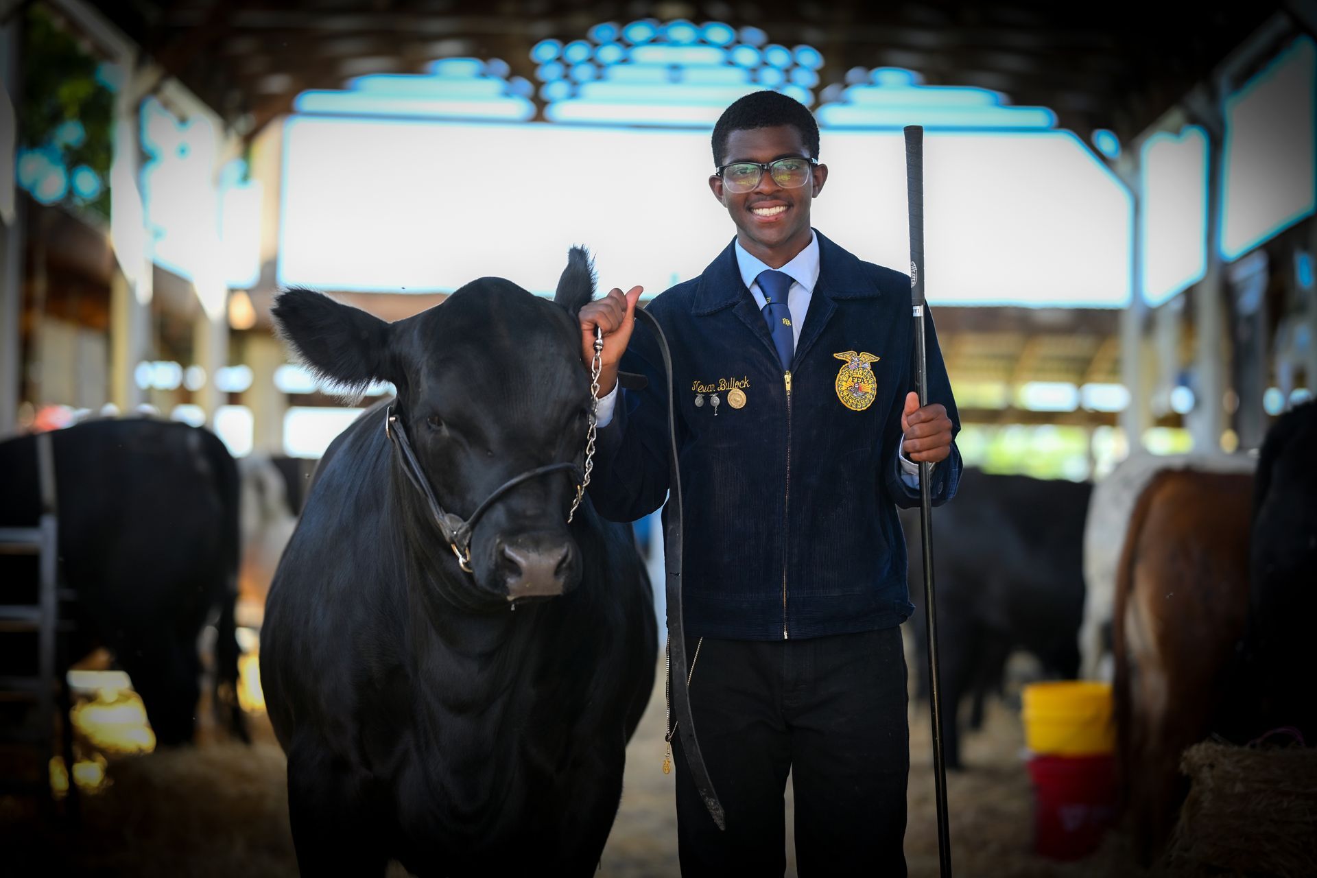 Person in FFA jacket with a black cow in a barn. Smiling, holding a cane and cow's lead rope.
