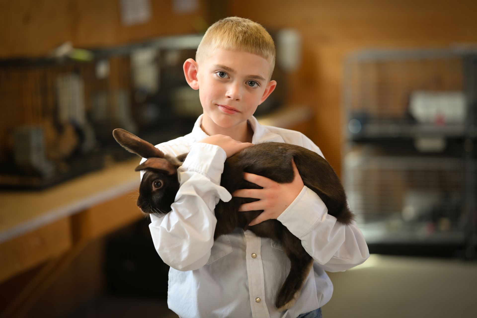 Boy in white shirt holding a brown rabbit; indoors, looks at the camera.