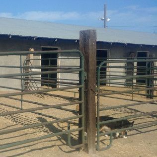 Stall types photo