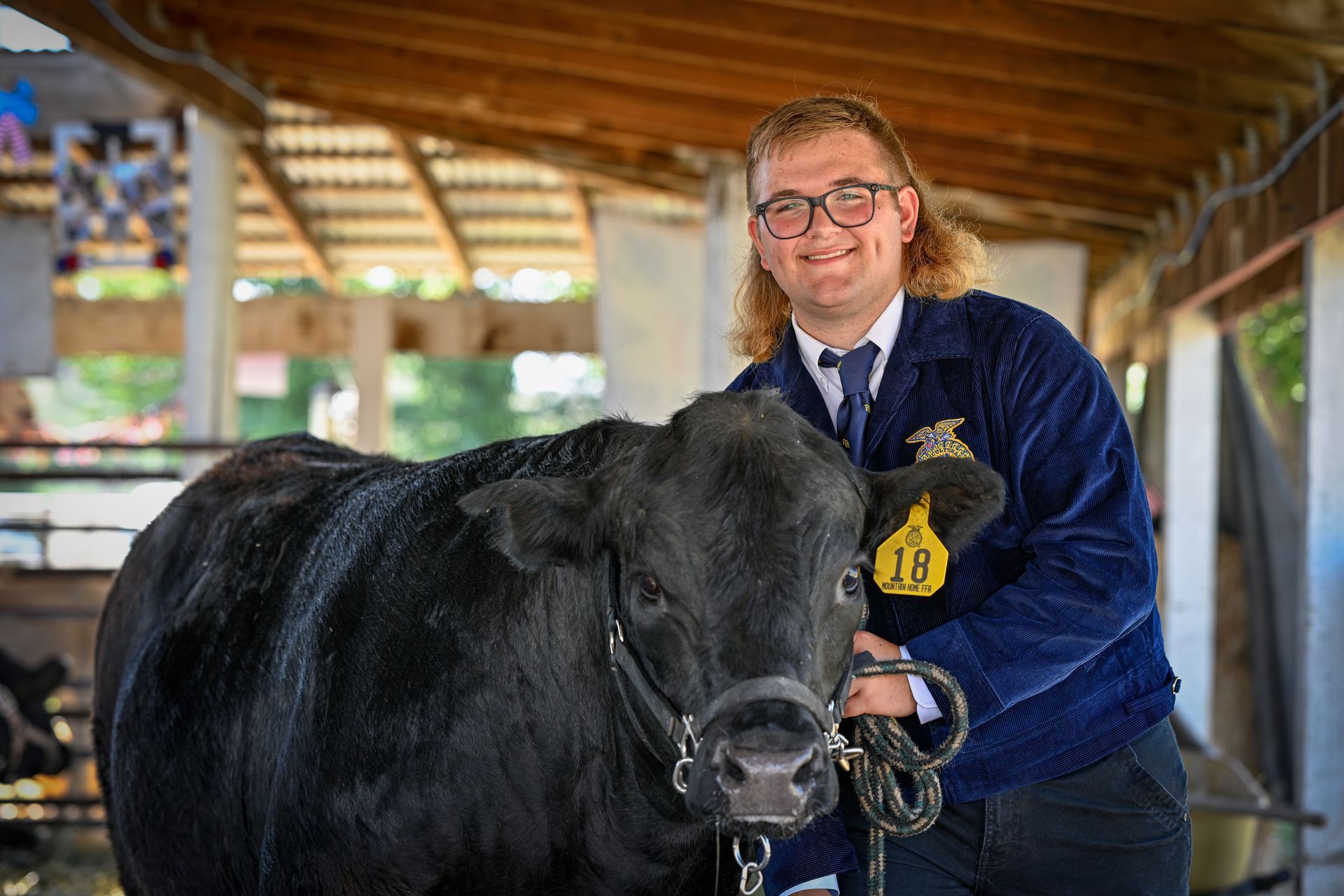 A young man is standing next to a black cow.