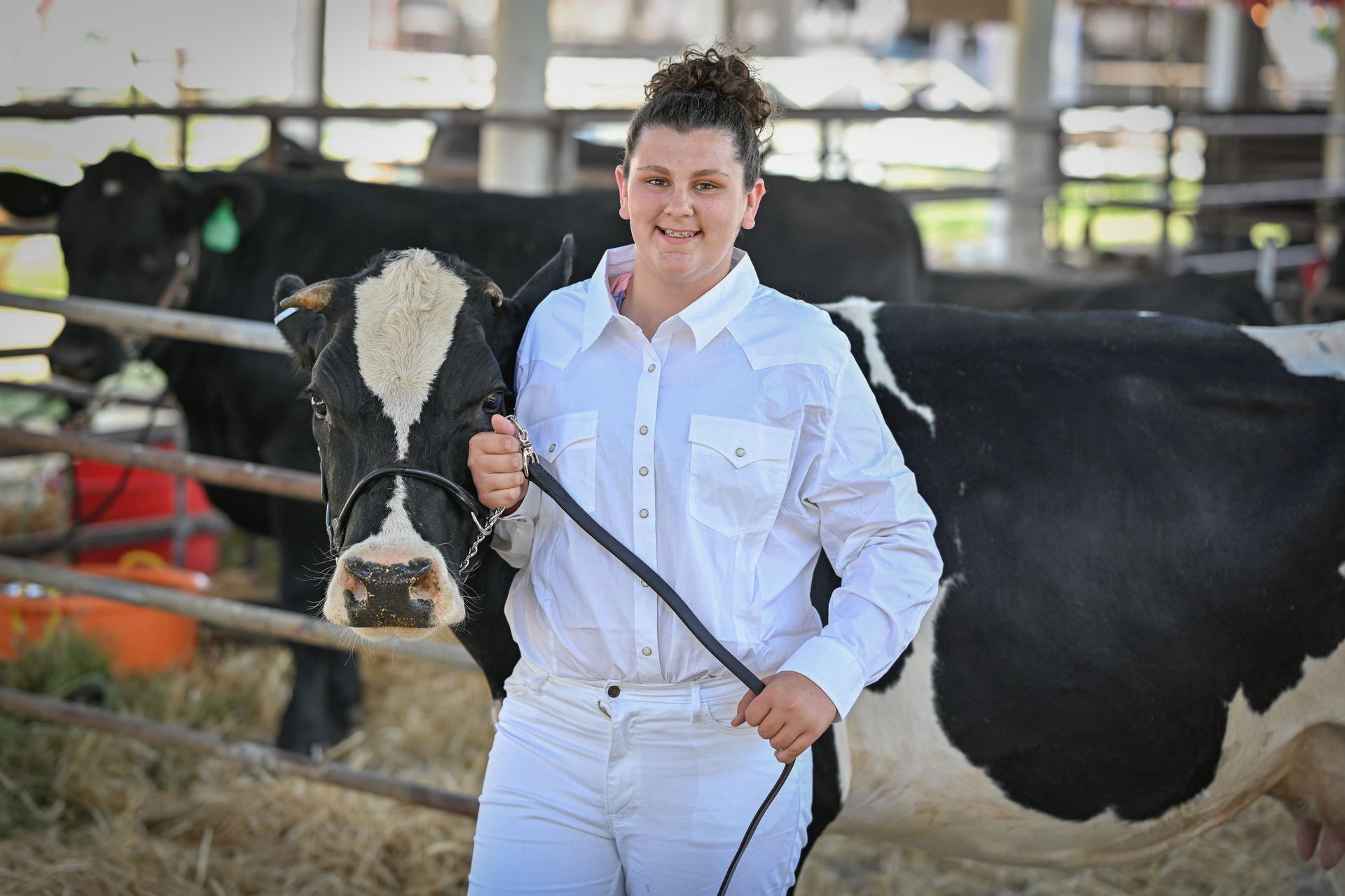 A woman is holding a black and white cow on a leash.