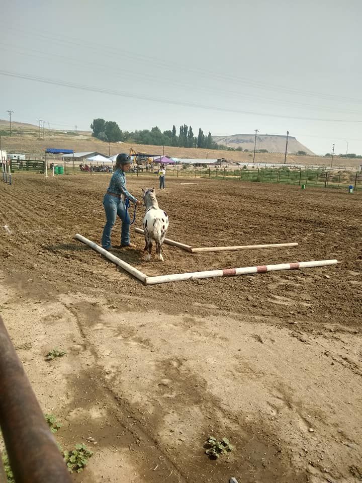 A man is standing next to a goat in a dirt field.