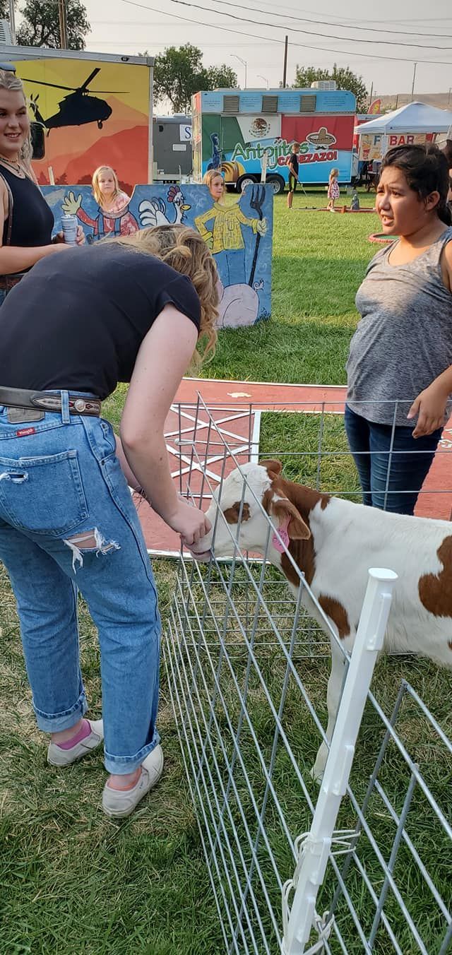 A woman is petting a brown and white goat behind a fence.