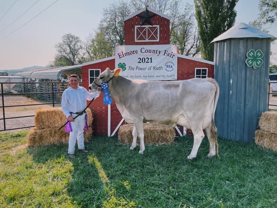 A man is standing next to a cow in front of a red barn.