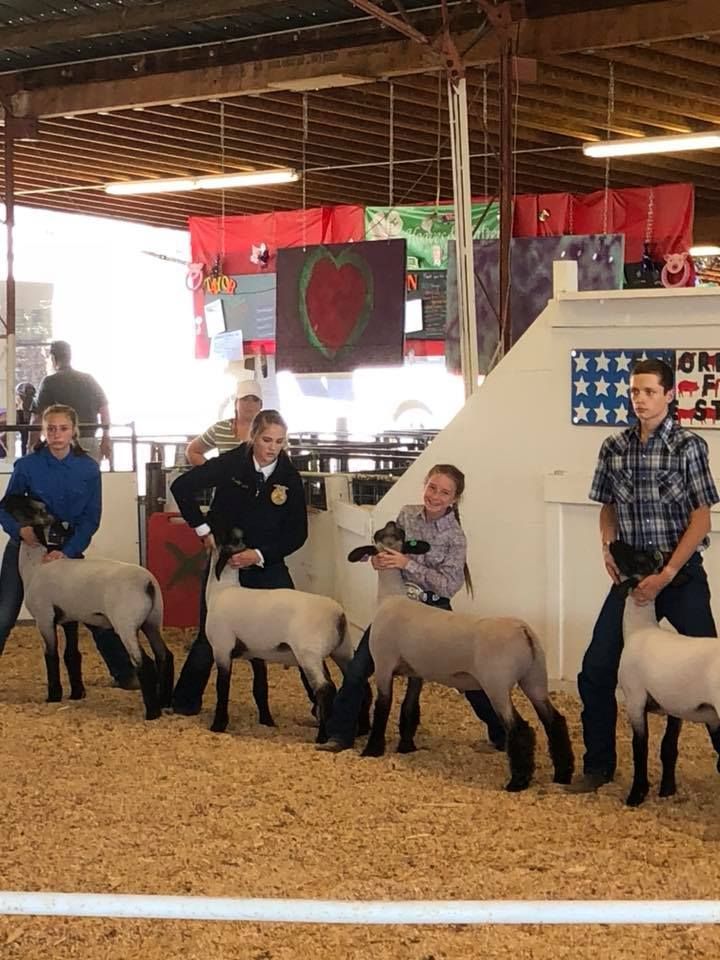 A group of people standing next to sheep in a barn