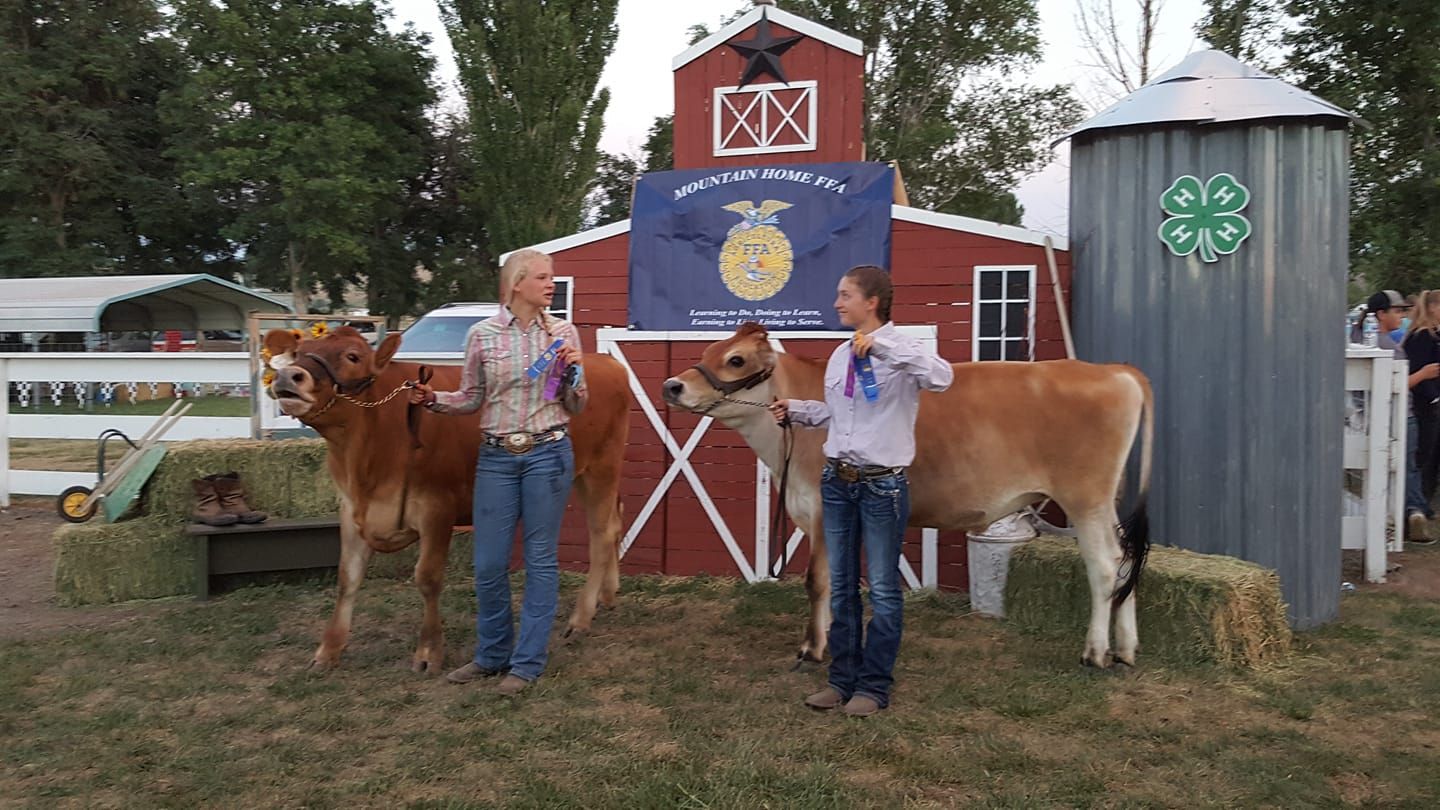 Two women standing next to two cows in front of a barn