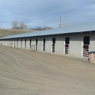 Stall types photo