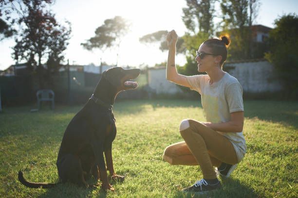 A woman is kneeling down next to a dog and giving it a high five.