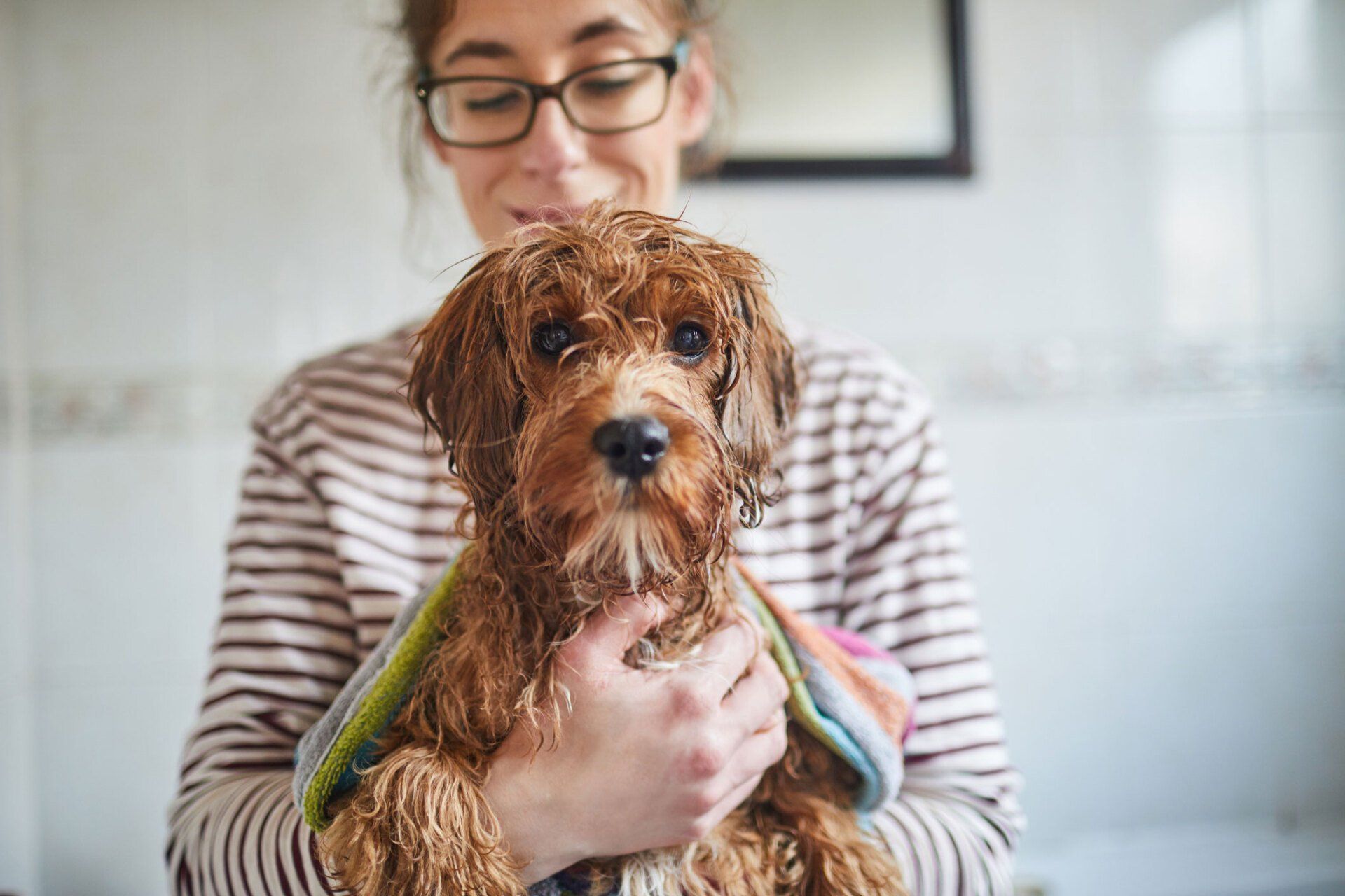 Girls Holding A Dog | Brookline, MA | No Bones About It