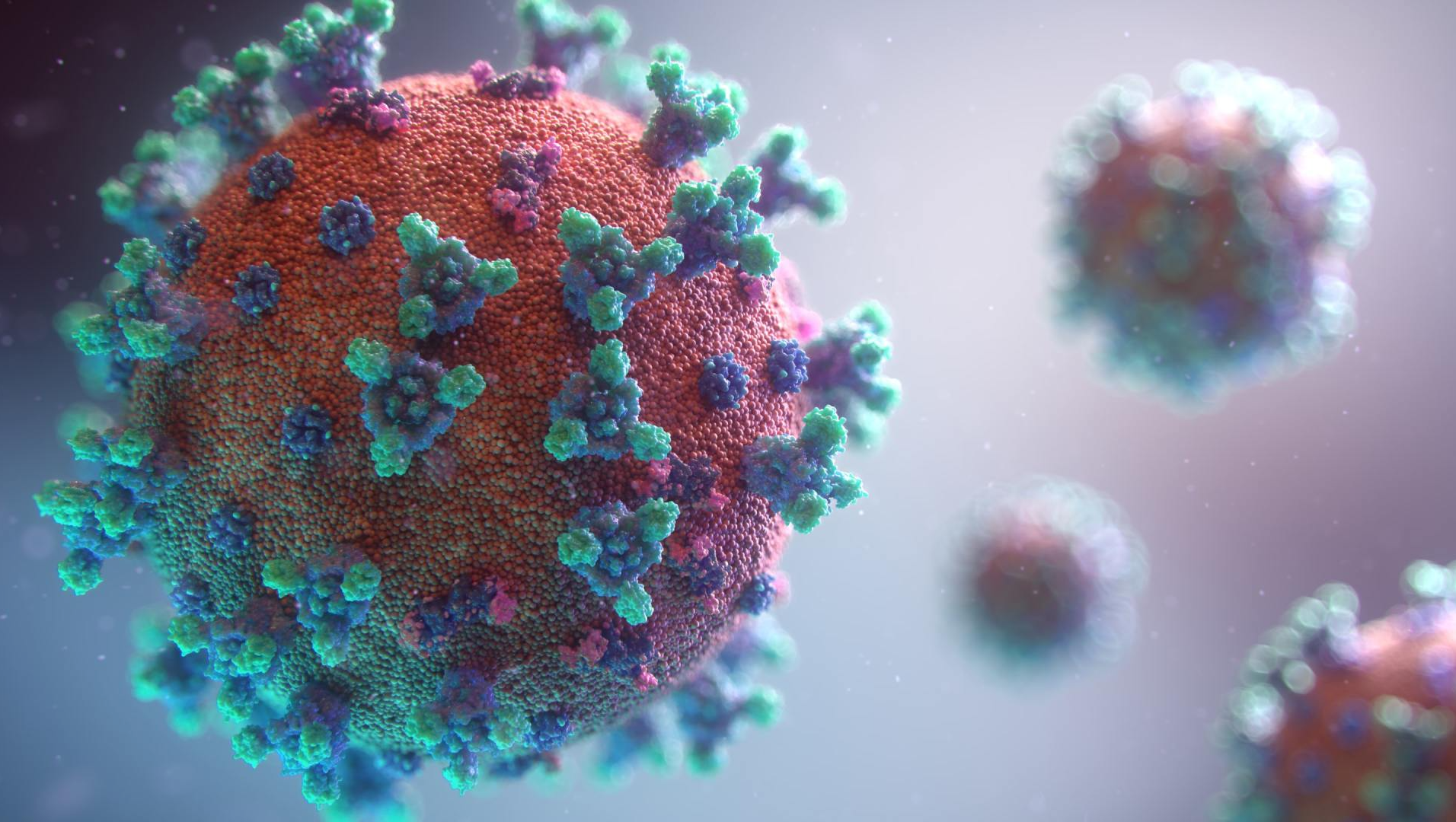 A computer generated image of a coronavirus.