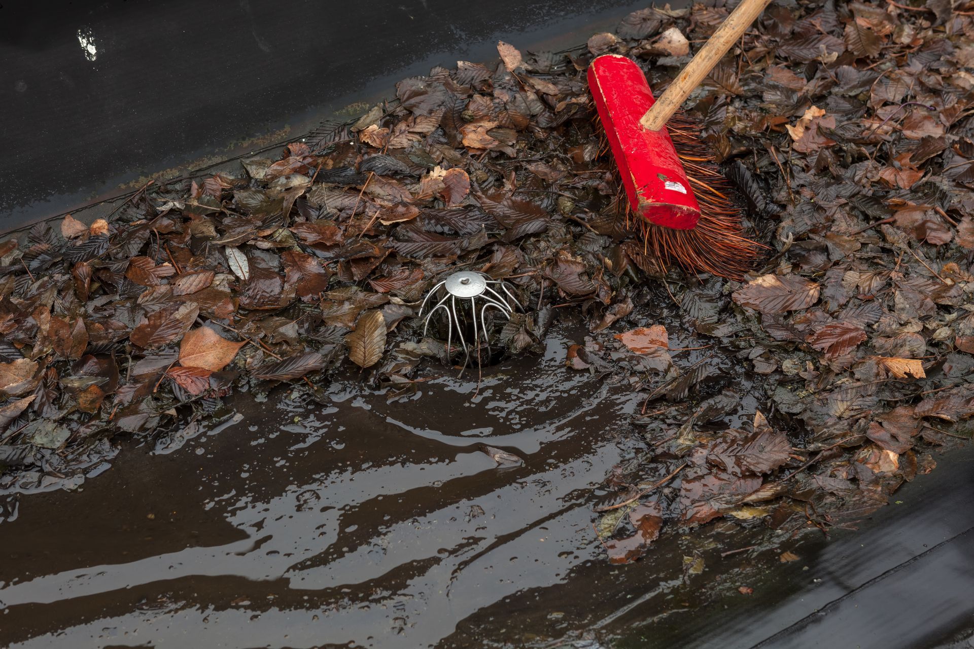 roof damage do to drain problems and leaf debris