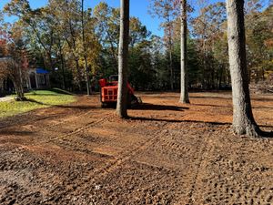 Orange skid steer on a cleared plot of dirt, trees and sky in the background.