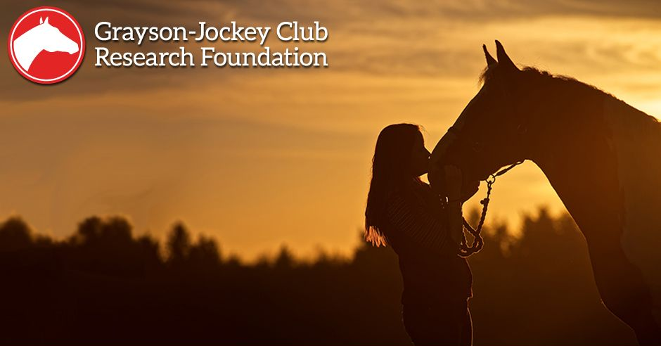A silhouette of a person standing beside a horse against a sunset sky, with the Grayson-Jockey Club Research Foundation logo.