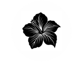 Black hibiscus flower silhouette with white vein details on a white background