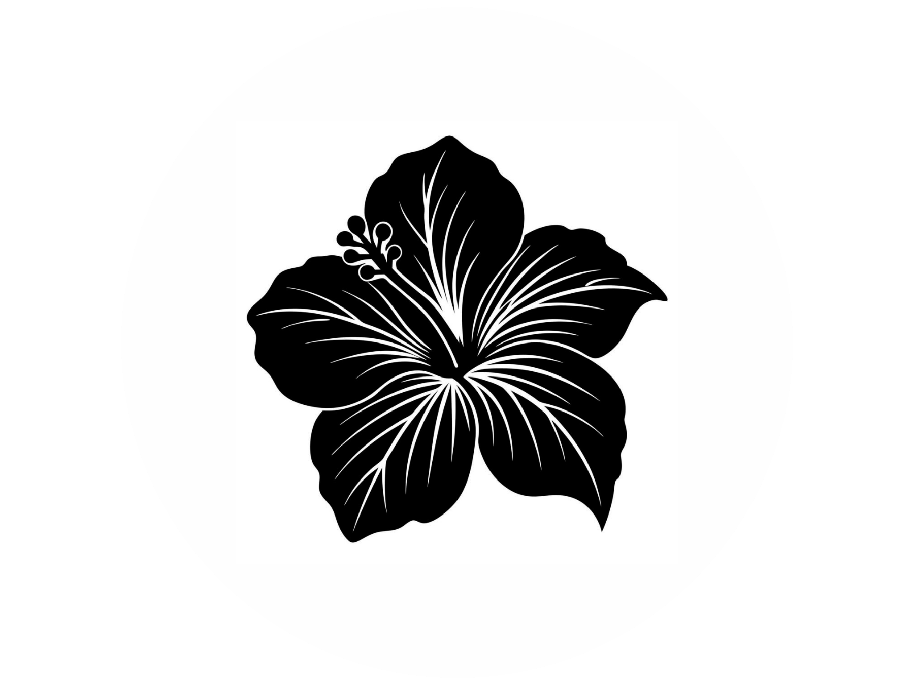 Black hibiscus flower silhouette with white vein details on a white background