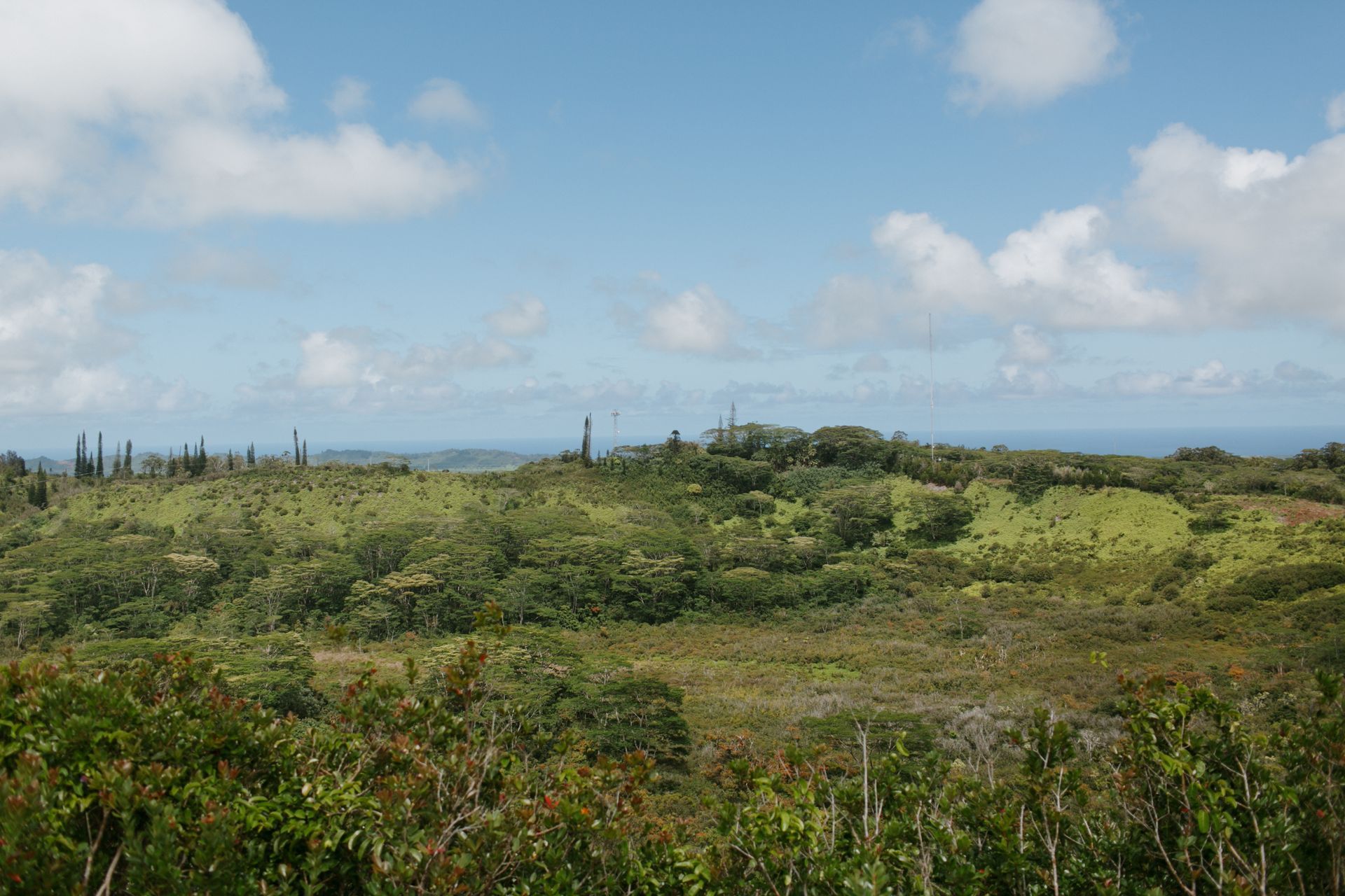Wide green scrubland under a blue sky with scattered clouds and distant horizon
