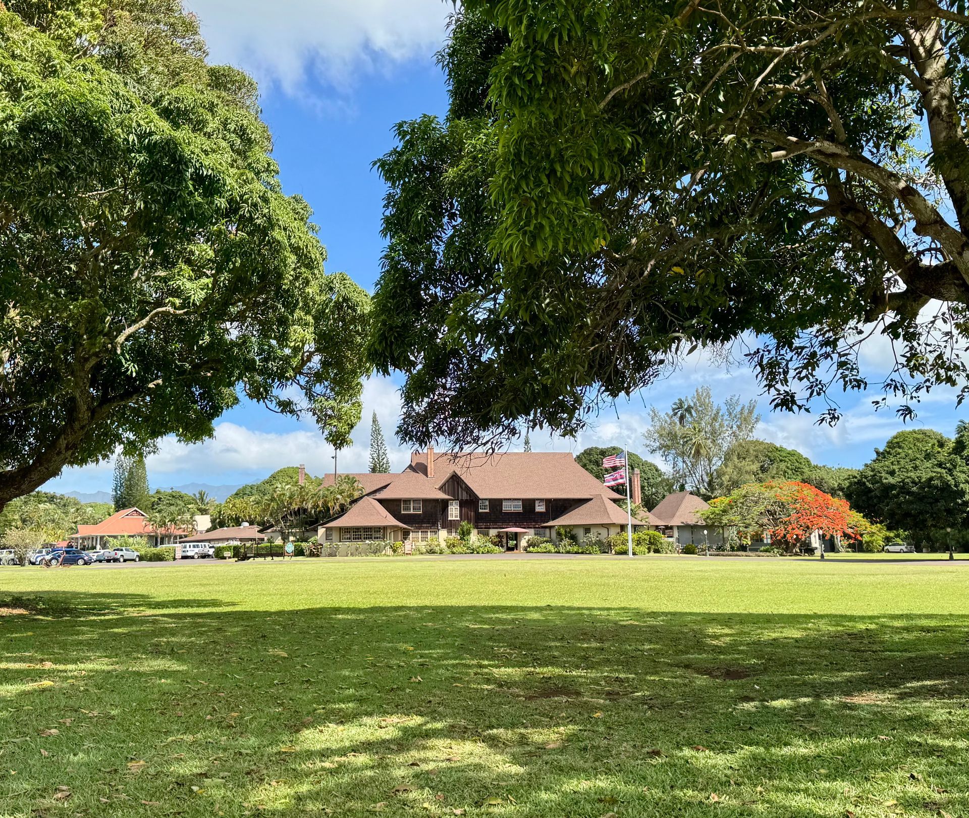 Lush green field with large trees framing a traditional house under a bright blue sky