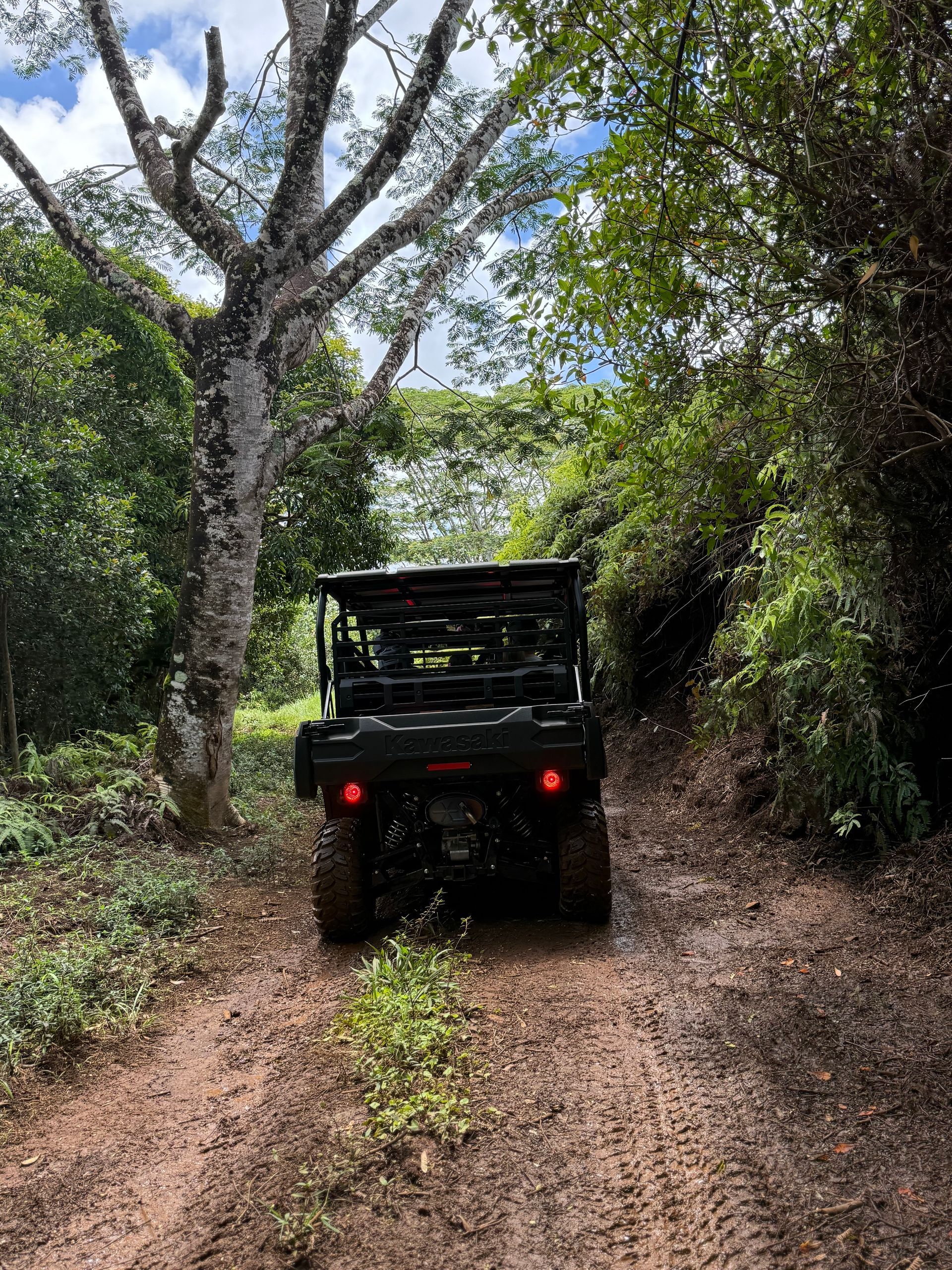 Off-road vehicle driving on a narrow dirt trail through dense green trees and brush