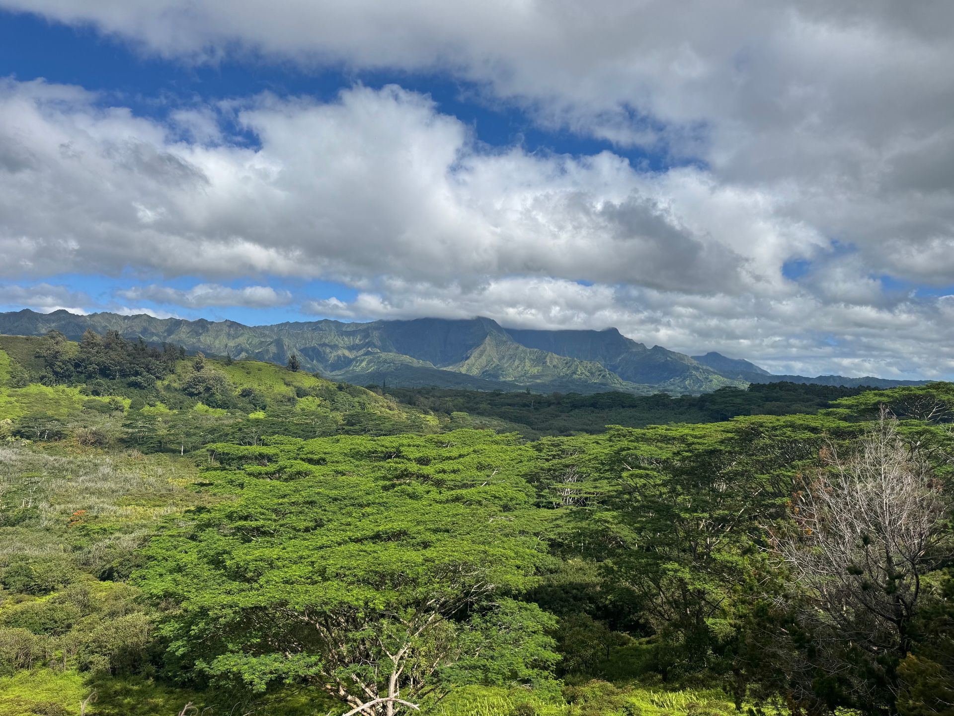 Lush green valley with mountains under dramatic clouds and blue sky
