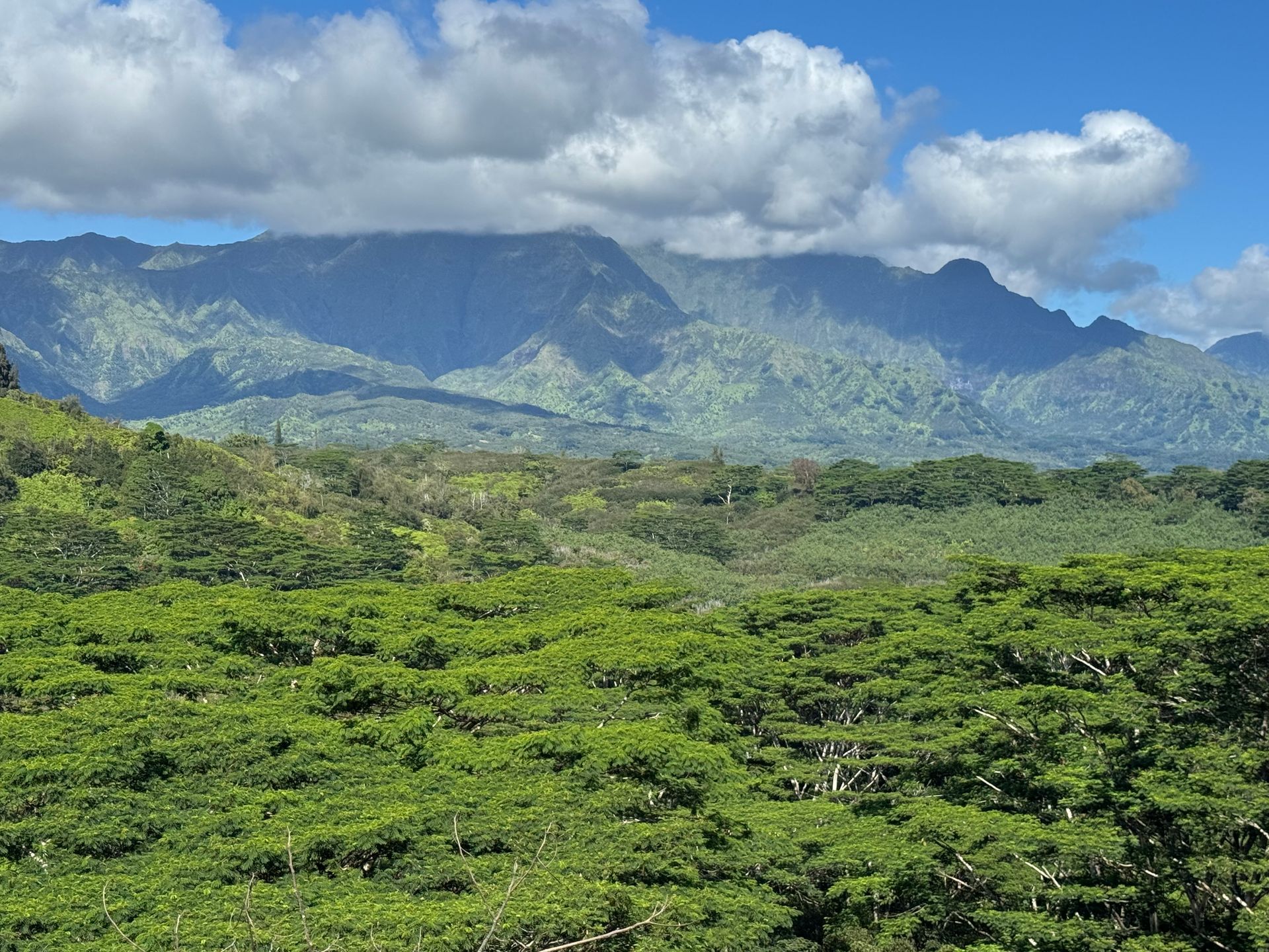 Lush green valley with rugged mountains under a bright blue sky and scattered clouds
