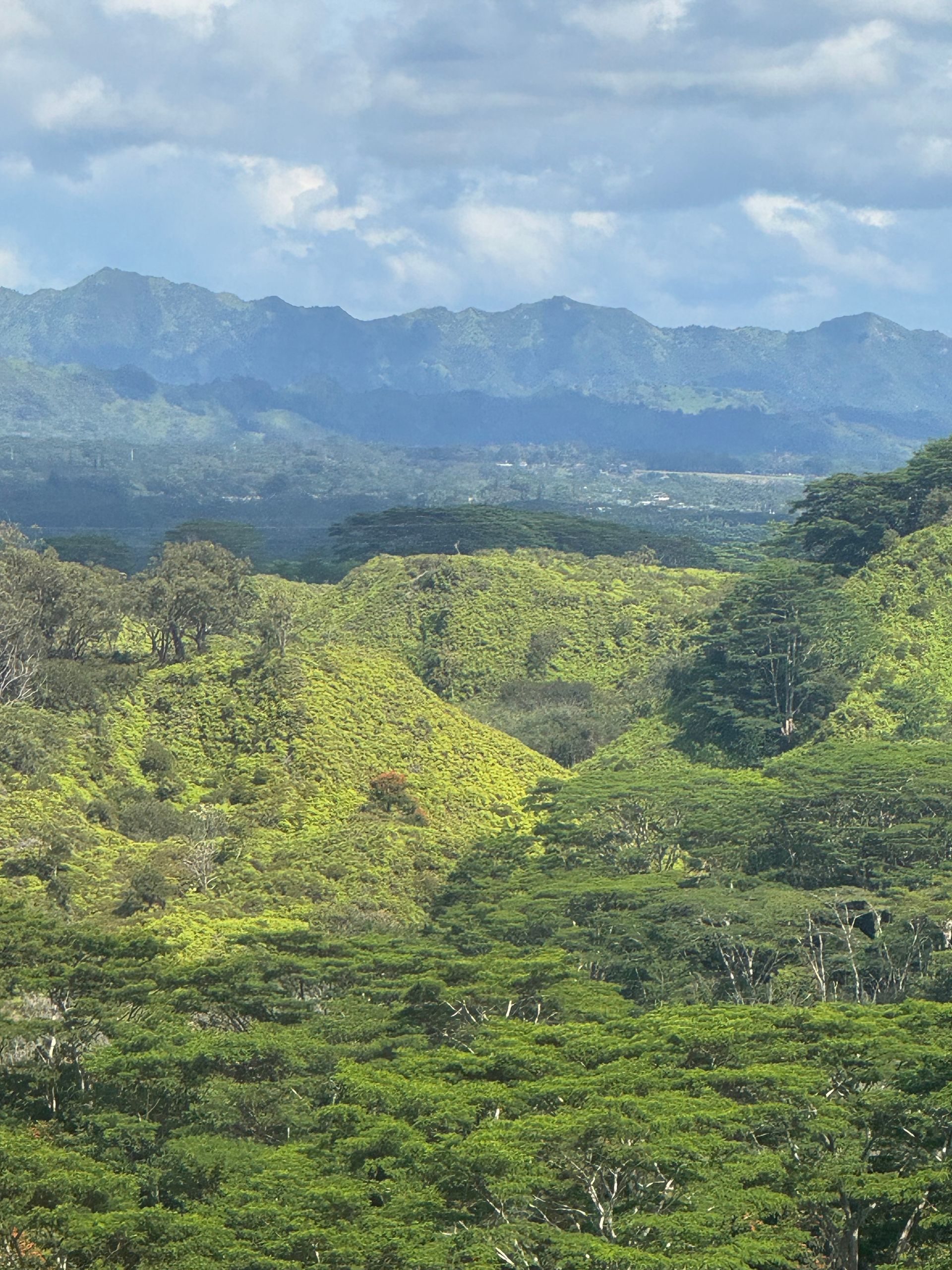 Lush green forested hills with distant blue mountains under a cloudy sky
