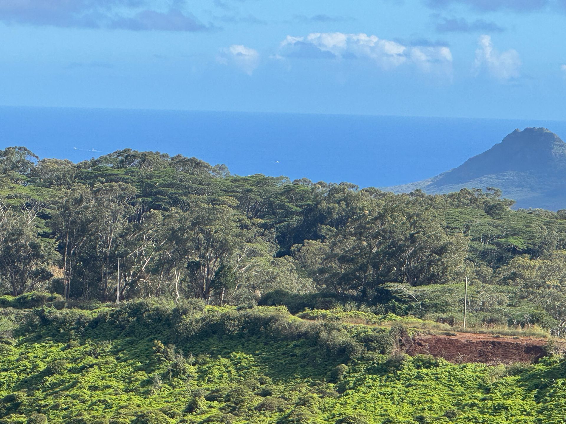 Lush green hills overlooking a blue ocean under a cloudy sky, with a distant island on the horizon.