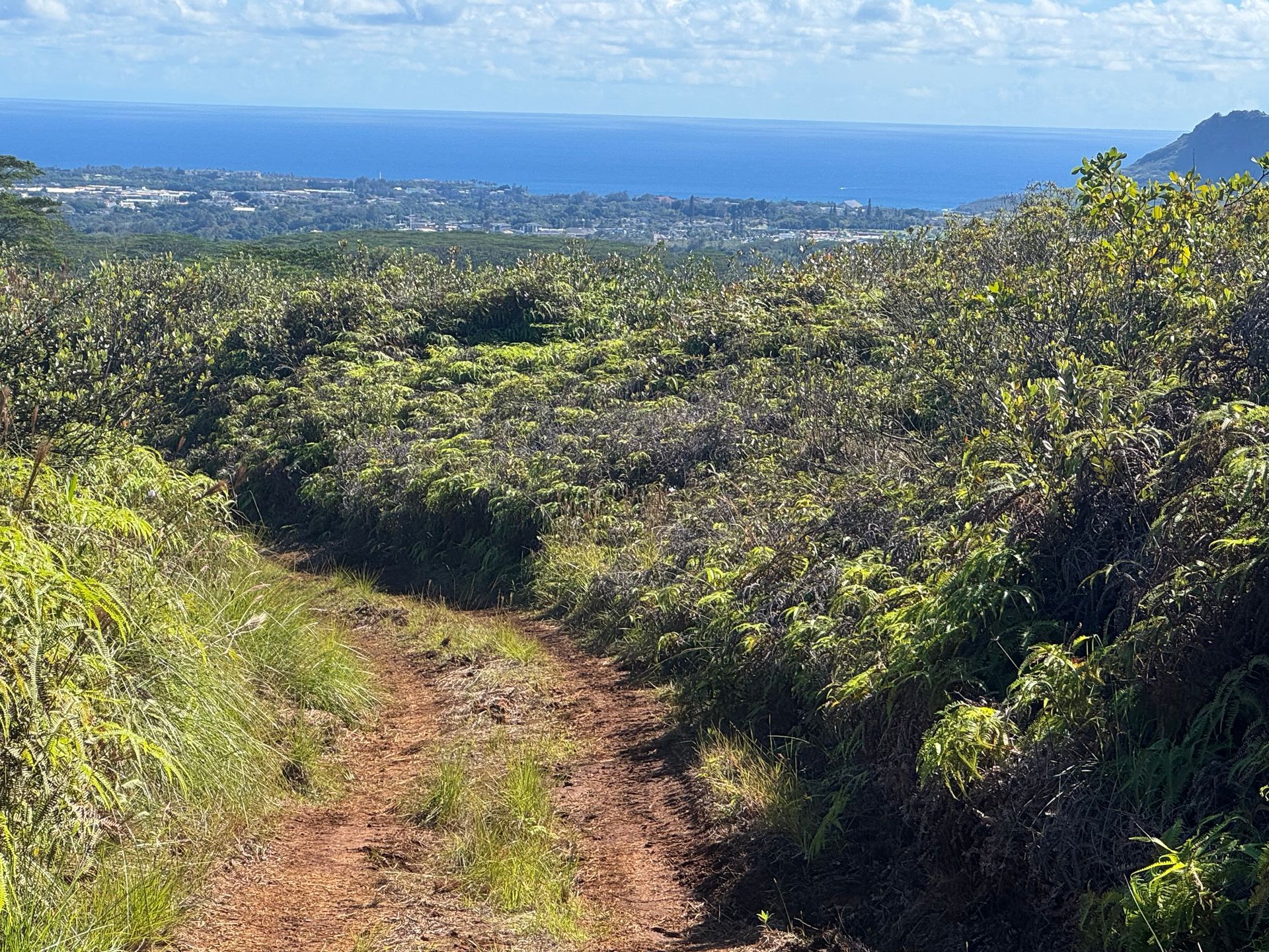 Narrow dirt trail through green hills overlooking a distant blue ocean and cloudy sky