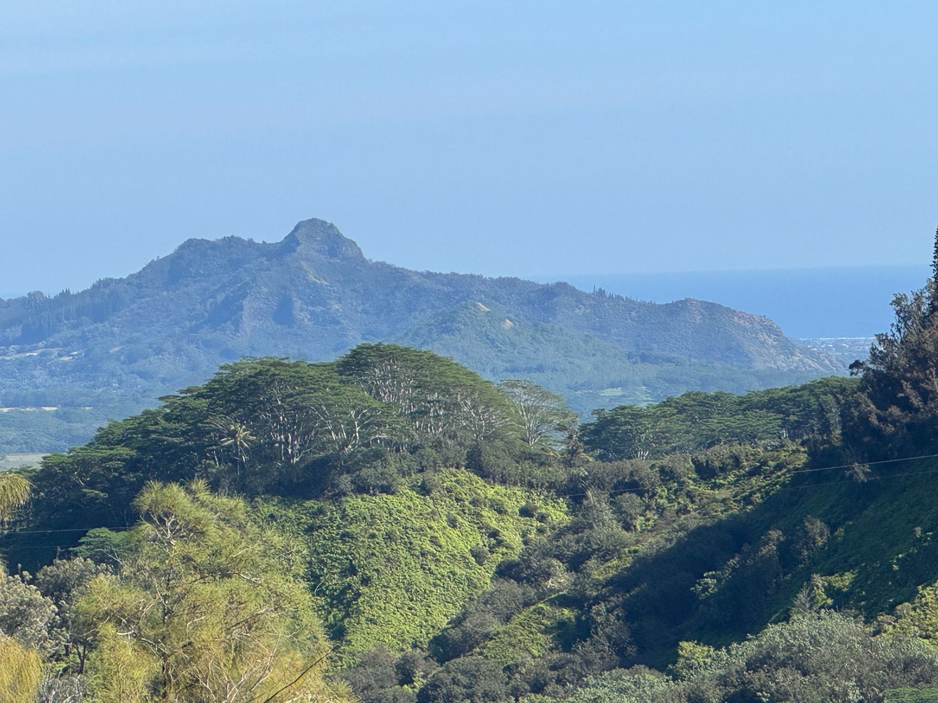 Lush green mountains under a clear blue sky, with the ocean visible in the distance.