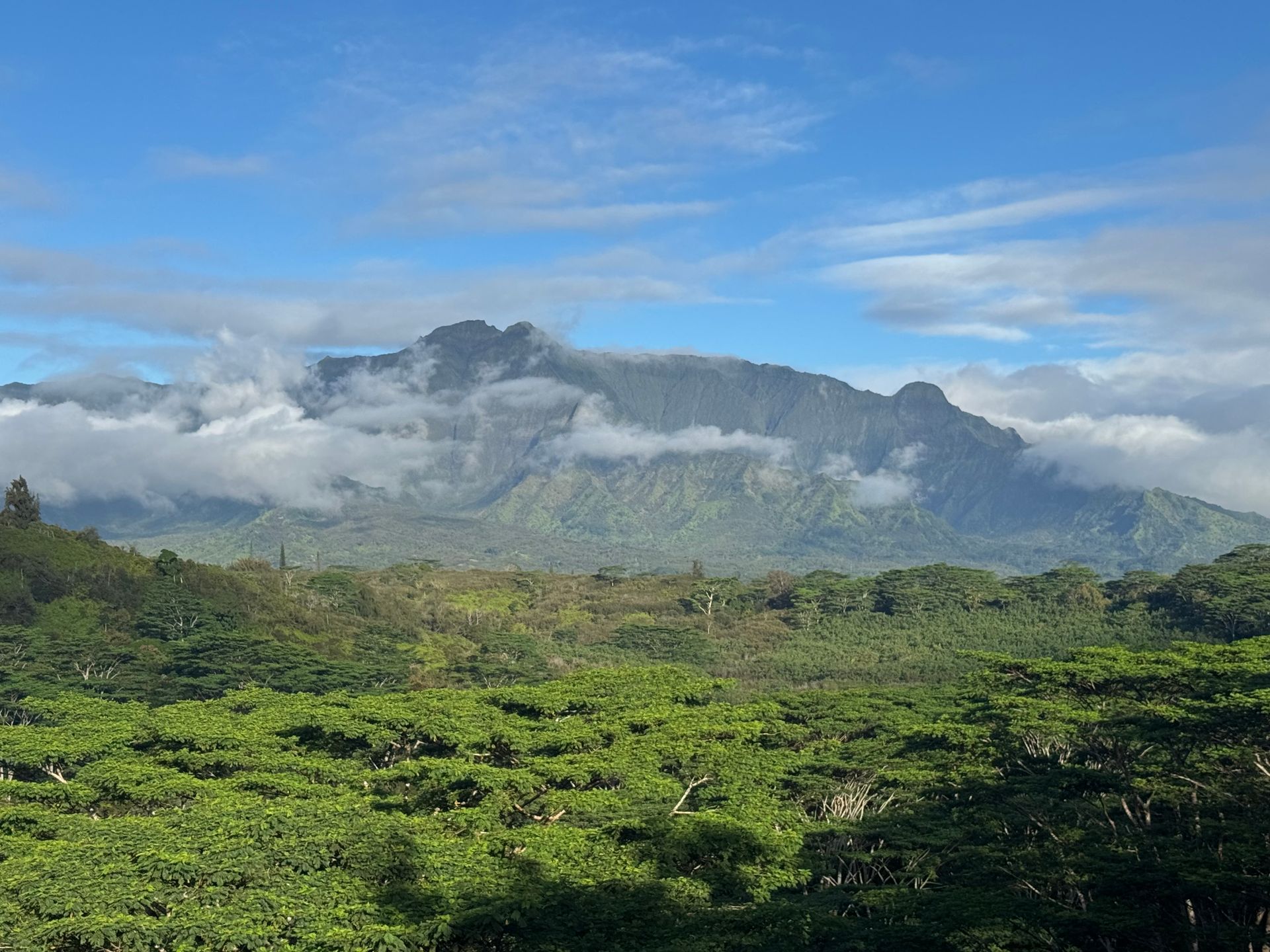 Lush green forest beneath a cloudy mountain peak under a blue sky