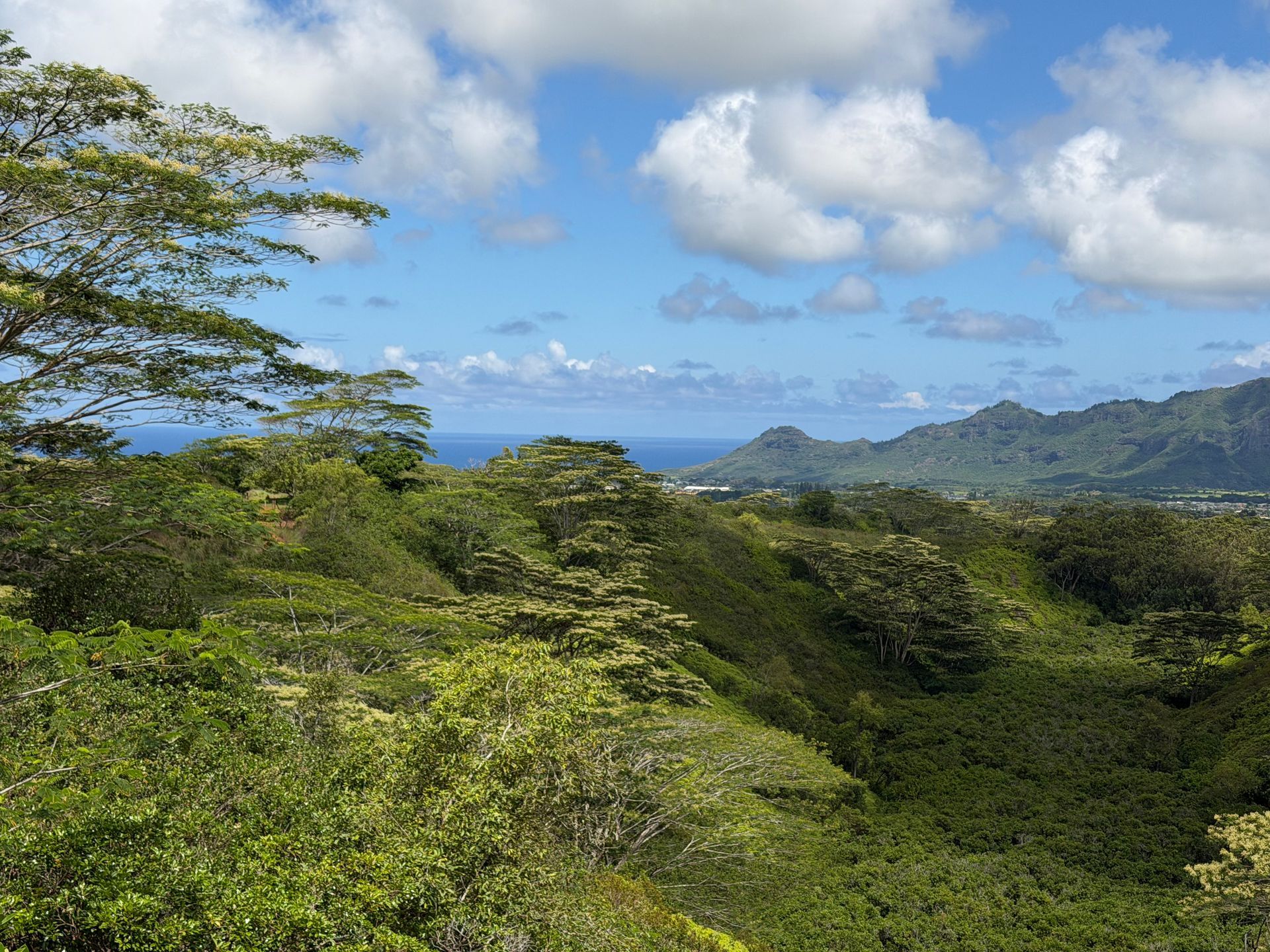 Lush green valley under a blue sky with clouds, mountains in the distance, and the ocean beyond