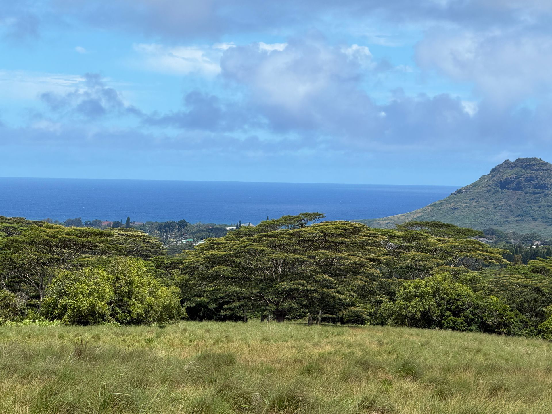 Grassy hillside overlooking a blue ocean under cloudy sky, with a mountain on the right.
