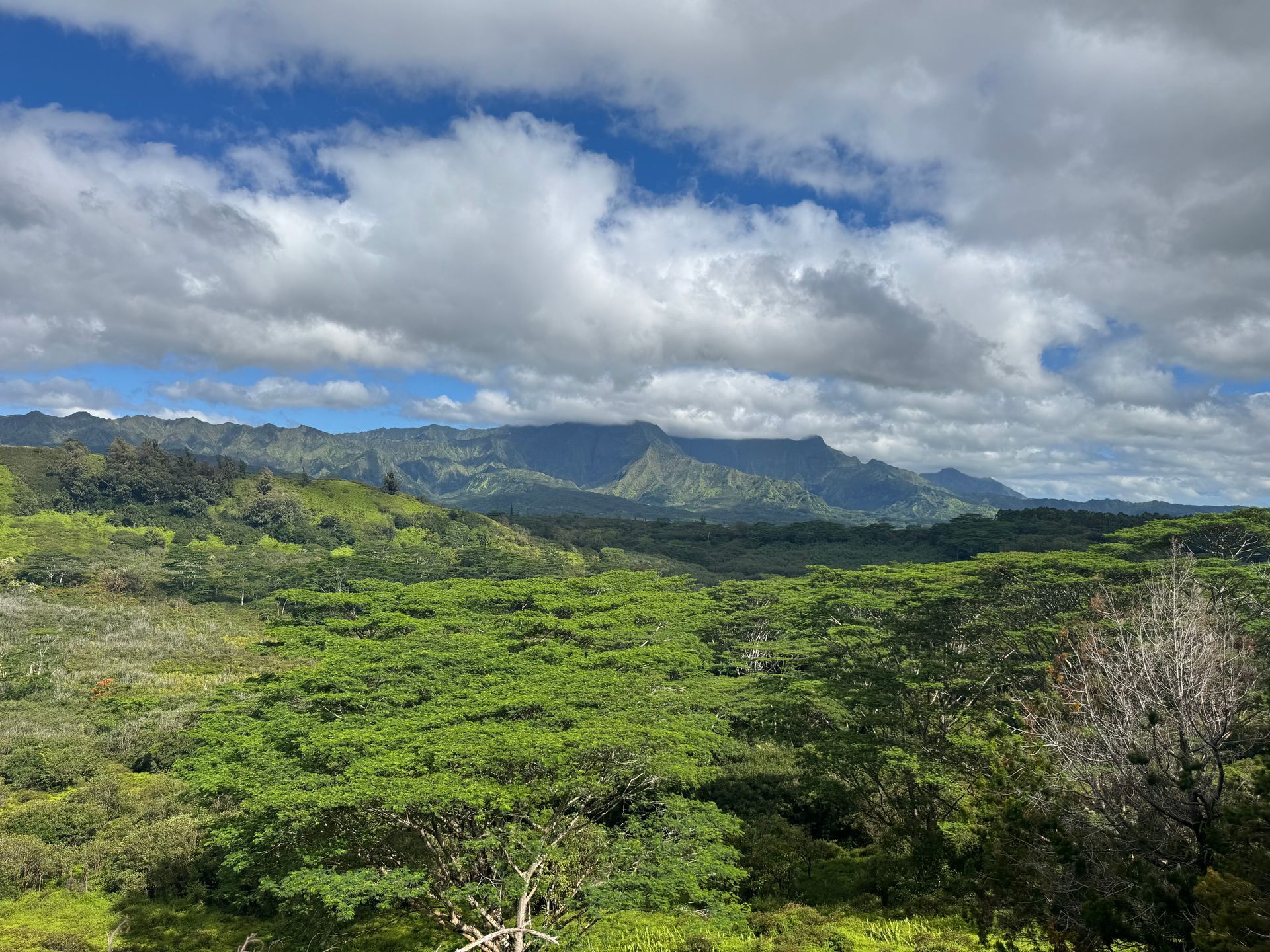 Lush green valley with distant mountains under a cloudy blue sky