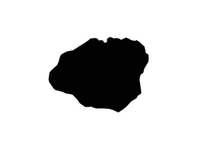 Black irregular blob silhouette on a white background