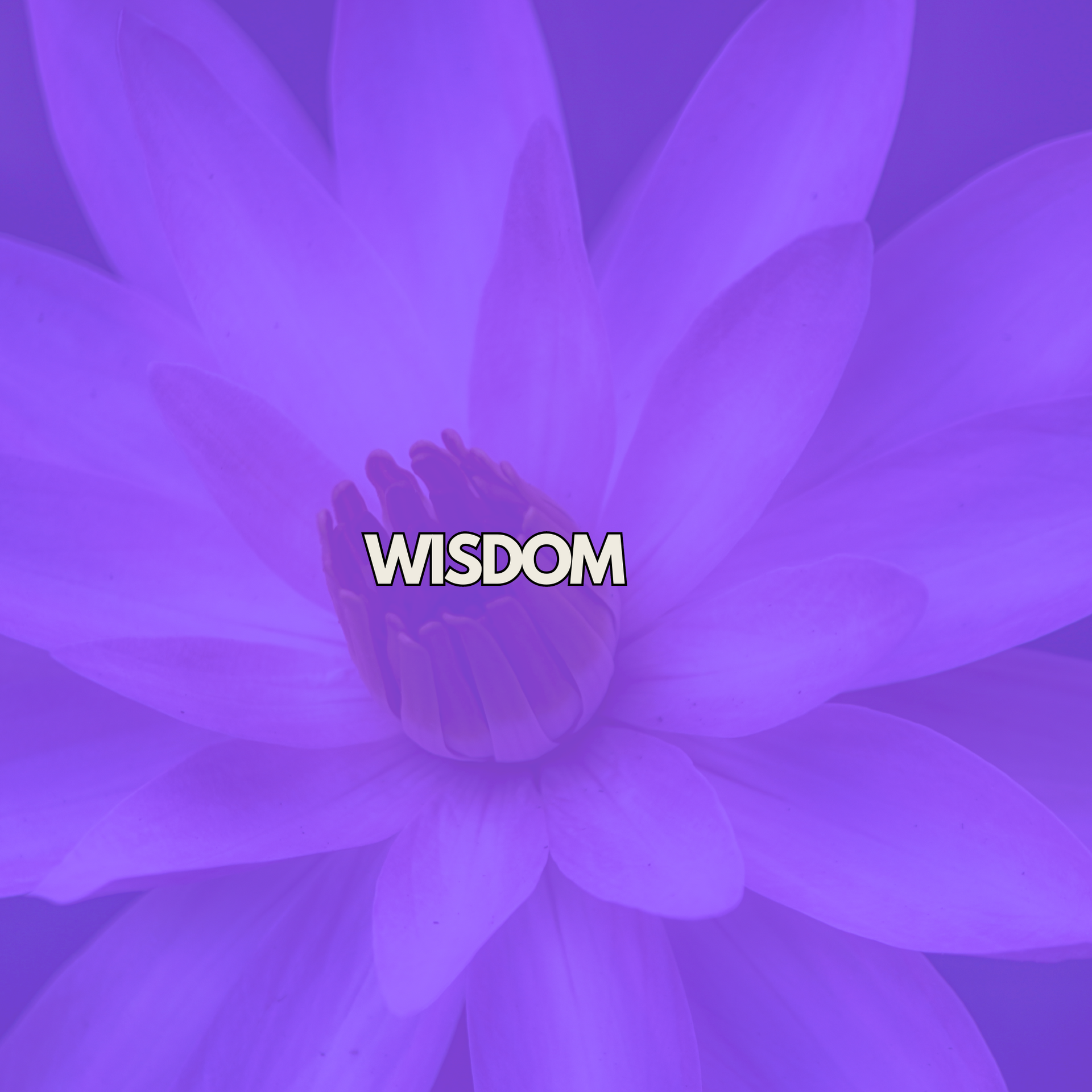 masterclass wisdom | Mind Escape Vibe| Stress Management| Self- Care
