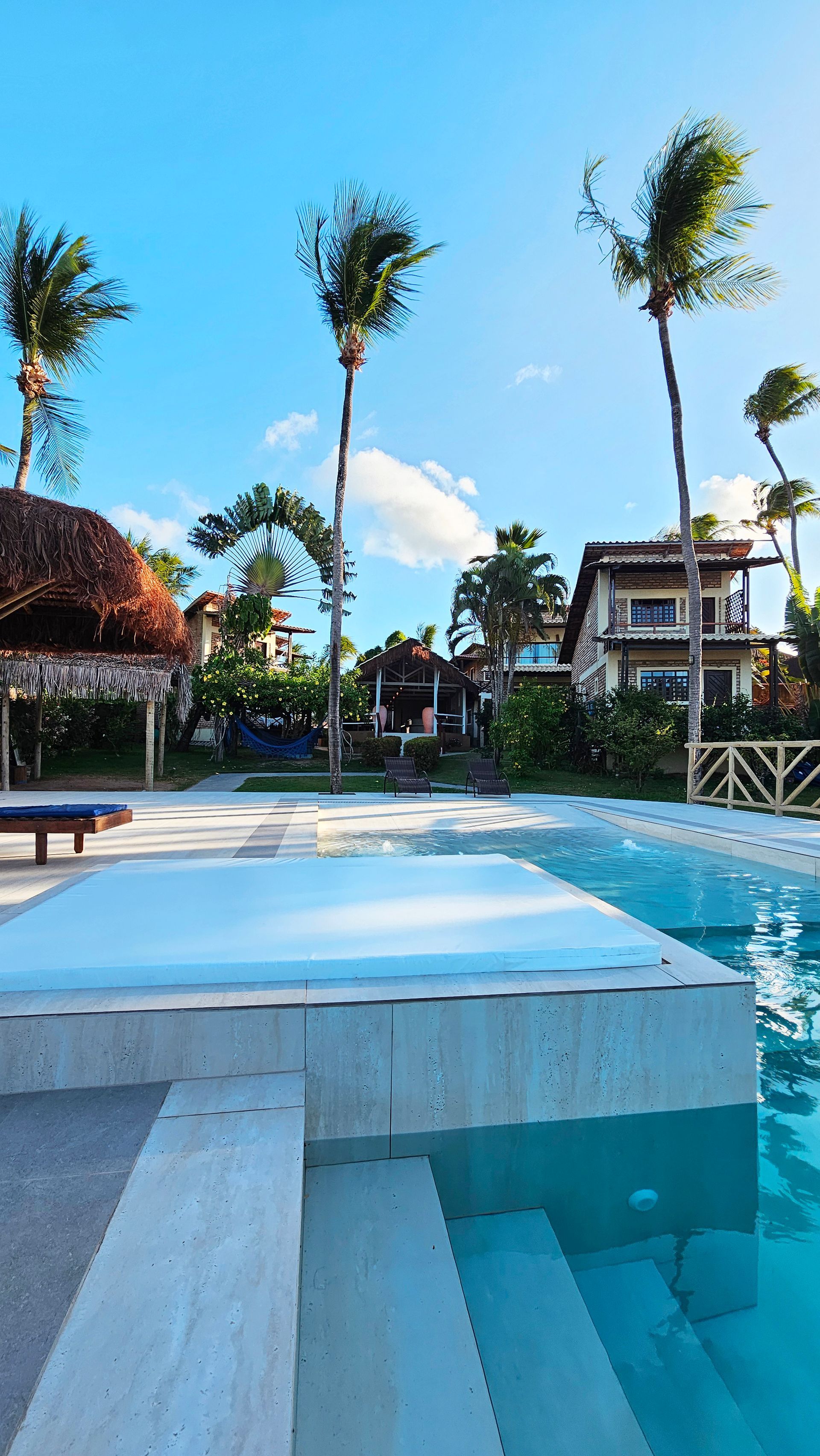 Pool with white concrete, palm trees, buildings, and blue sky.