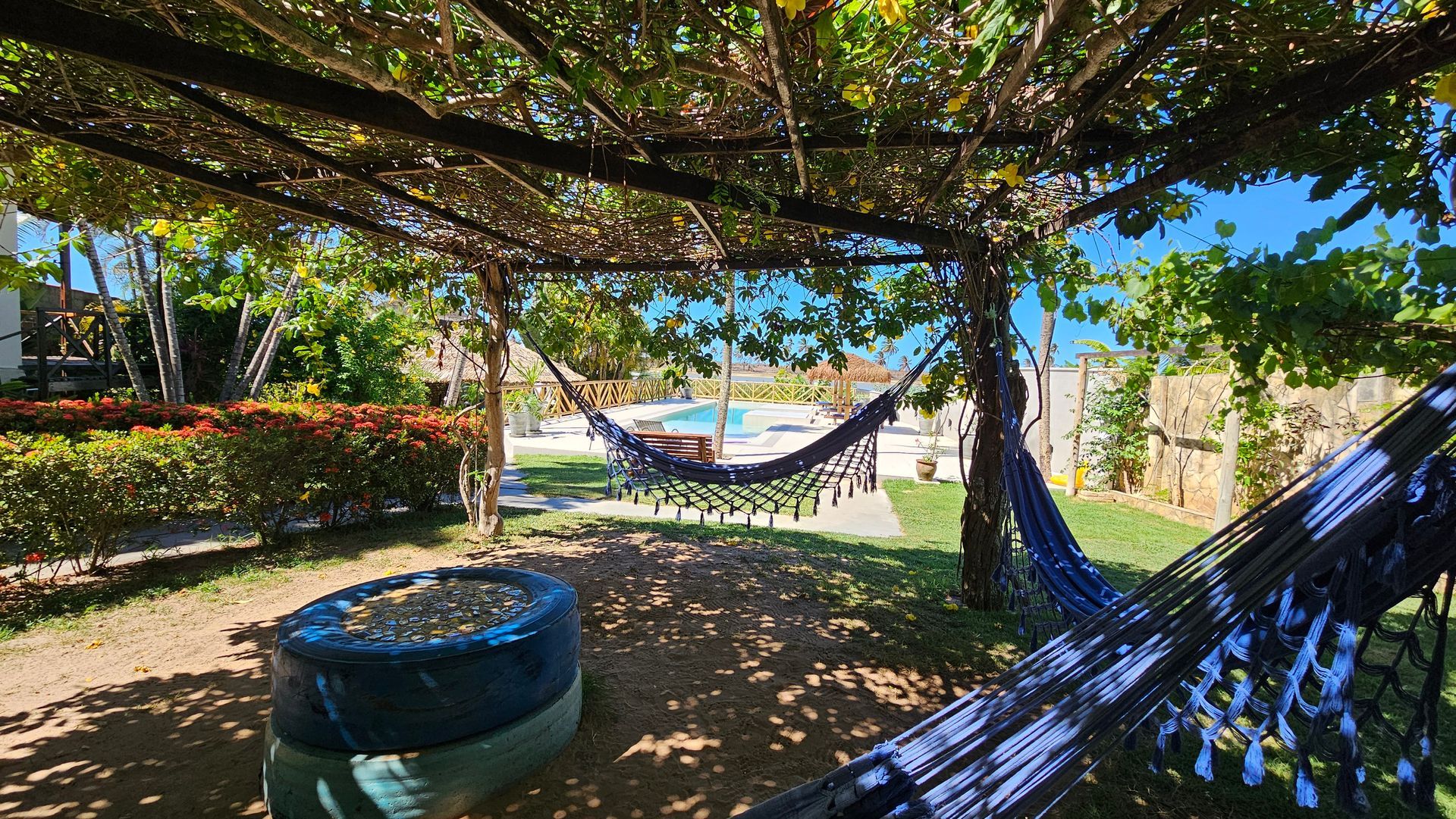 Hammocks hang under a vine-covered pergola, overlooking a pool and yard with green foliage.
