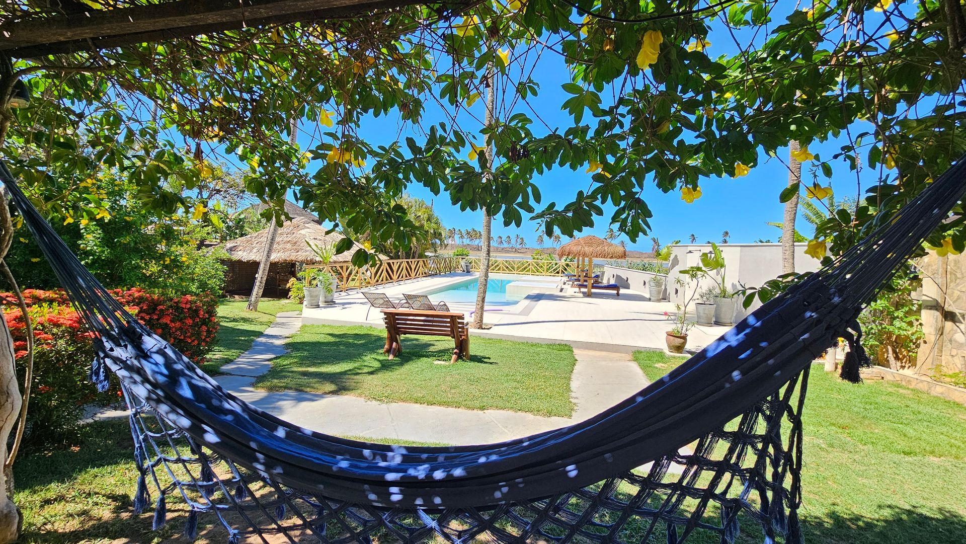 Hammock under a tree looking towards a swimming pool on a sunny day.