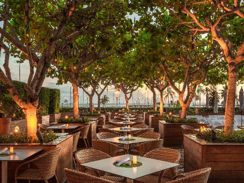 Outdoor restaurant under trees, tables with woven chairs. Warm lighting.